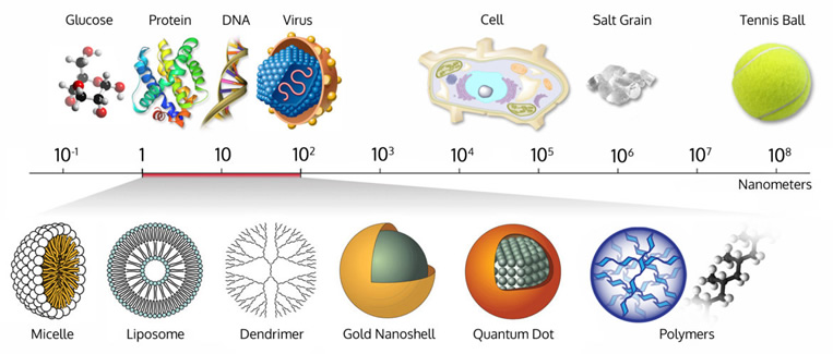 Size-comparison-Bio-nanoparticles nanometer scale comparison nanoparticle size comparison nanotechnology chart ruler