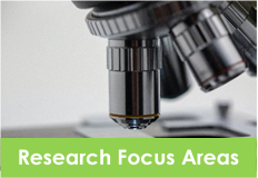 Research focus areas
